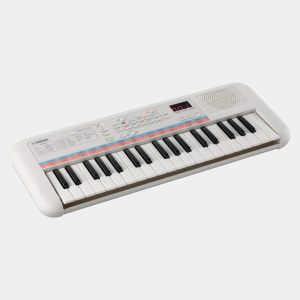 Đàn Organ Keyboard PSS-E30